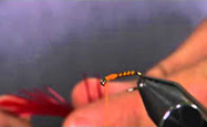 Mustard Buzzer Steve Cullen
TotalFlyFisher  Steve Cullen